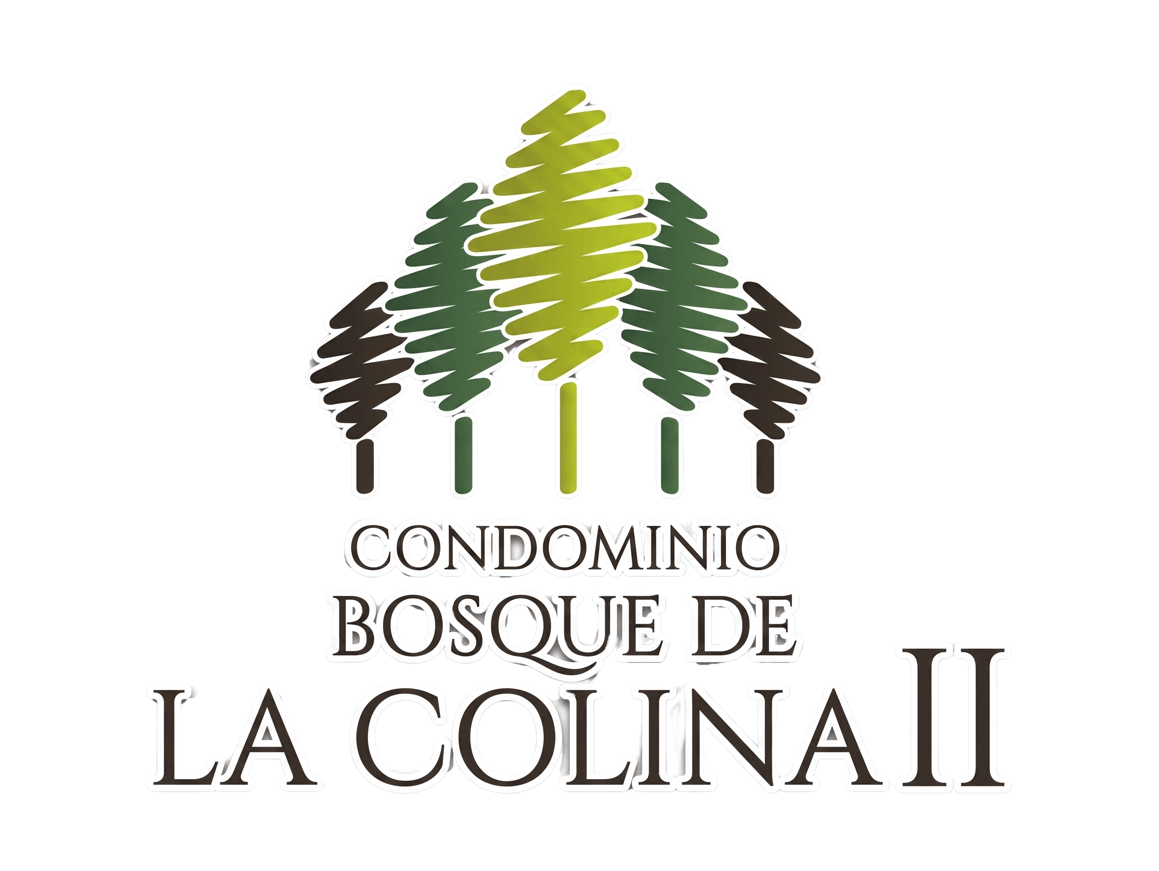 Bosque de la Colina 2